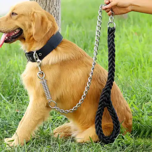 doghook