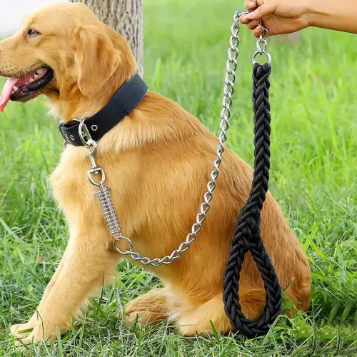 Dog lead hooks