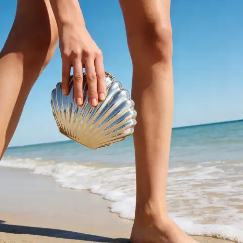 seashell clutch frames