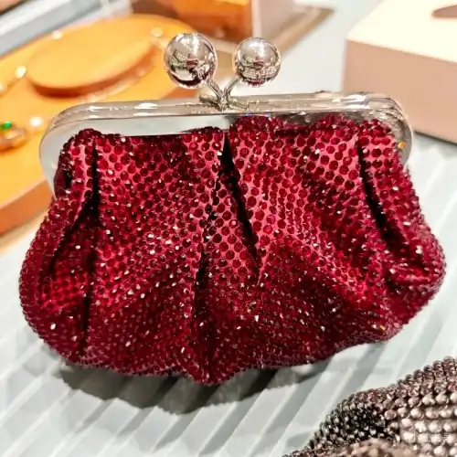 silver purse frame