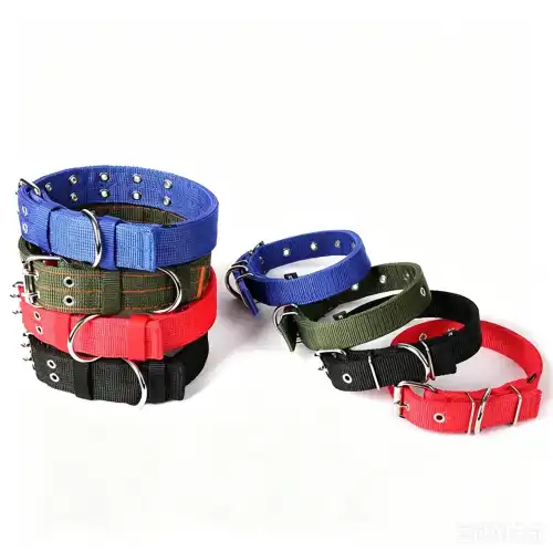 roller buckles
