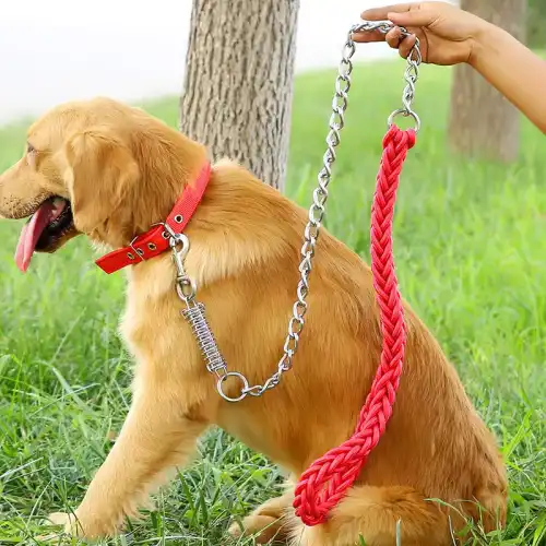 lobster claps dog hook lobster claps dog hook