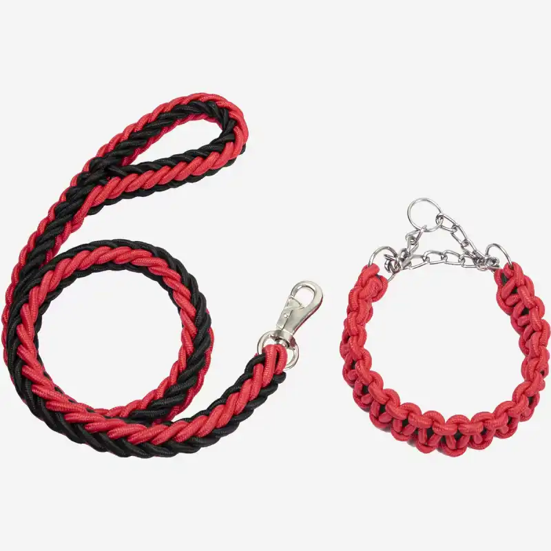 metal dog leash hooks
