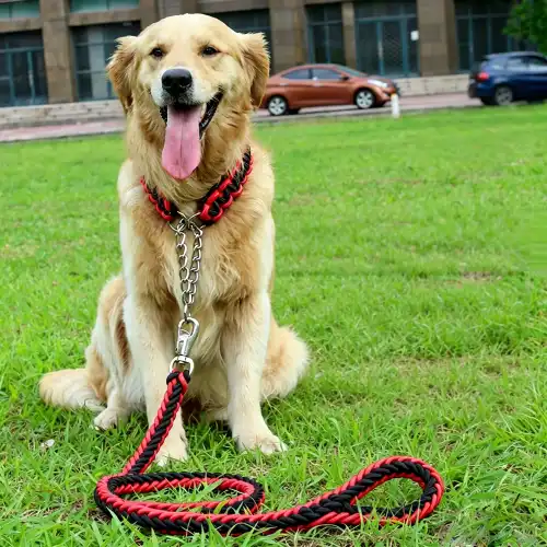 Dog lead hooks