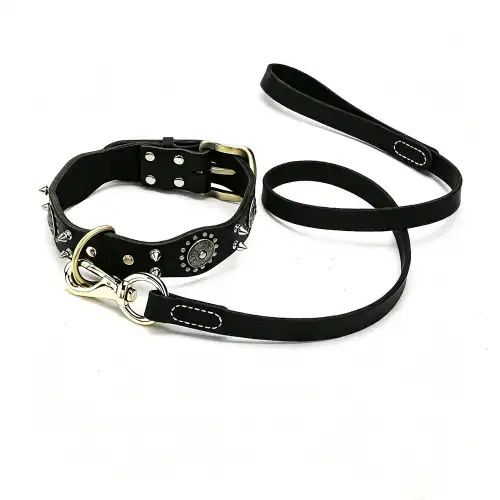 Dog lead hooks