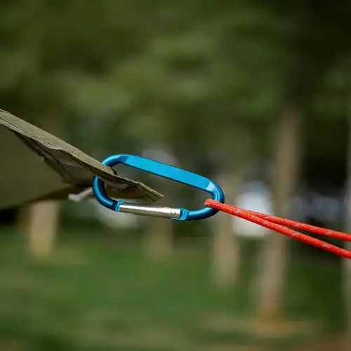 D-shaped carabiner hook 