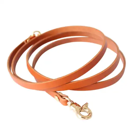 Different Hooks for Dog Leashes